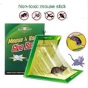Mouse and Rate Glue Book