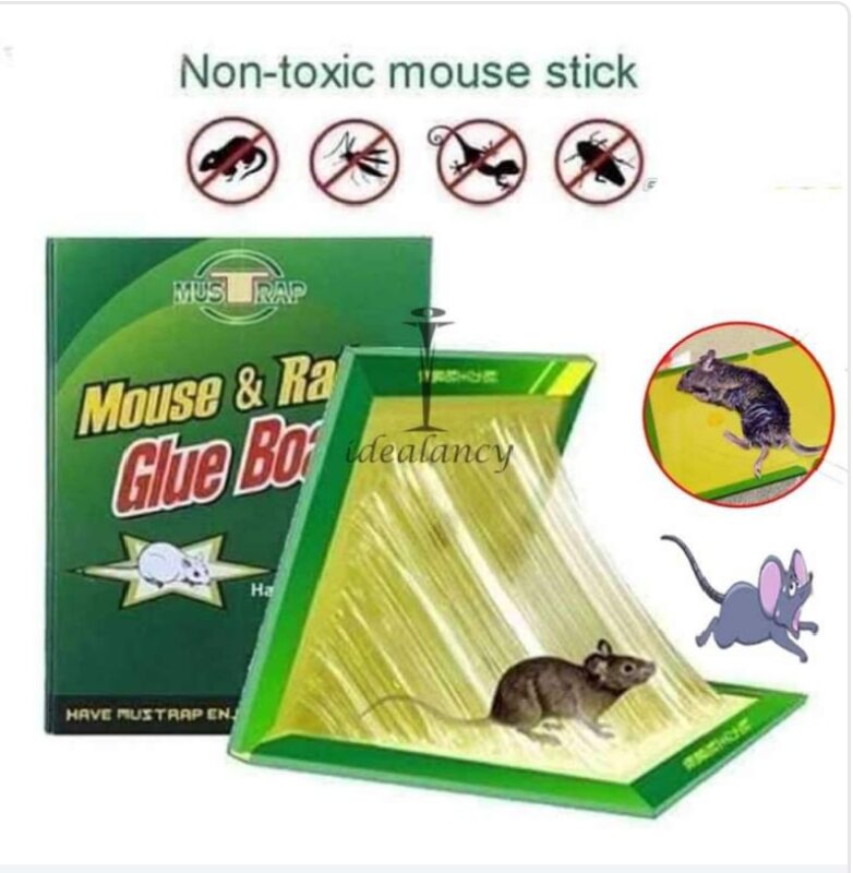 Mouse and Rate Glue Book
