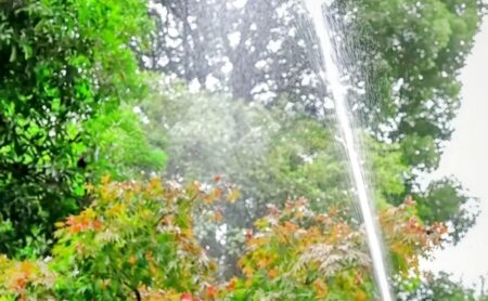 water spray gun