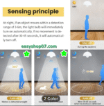 LED motion and light sensor bulb