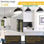 LED motion and light sensor bulb