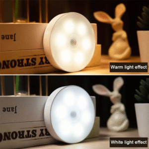 LED Motion Sensor Light