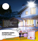 LED Flood Light