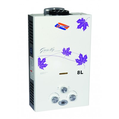 Bester Instant Gas Geyser 8L