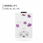 Bester Instant Water Heater 6 Liters Model P-1 with digital display and floral design – gas geyser available in Pakistan